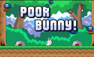 img Poor Bunny